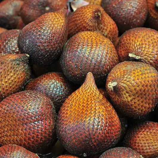 Salak Bali