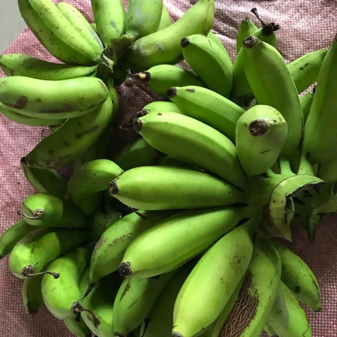 Pisang