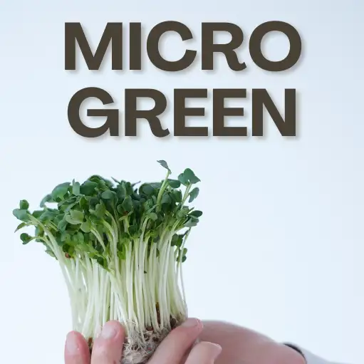 Cover Ebook 4