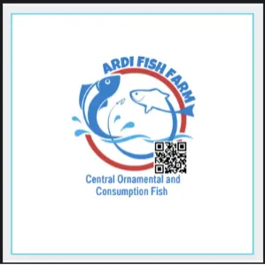Arda Fish | ardifishfarm