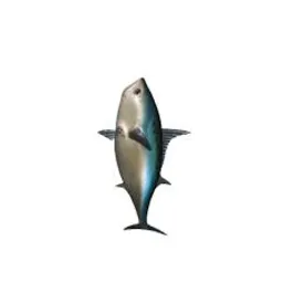 | kinkjarips
